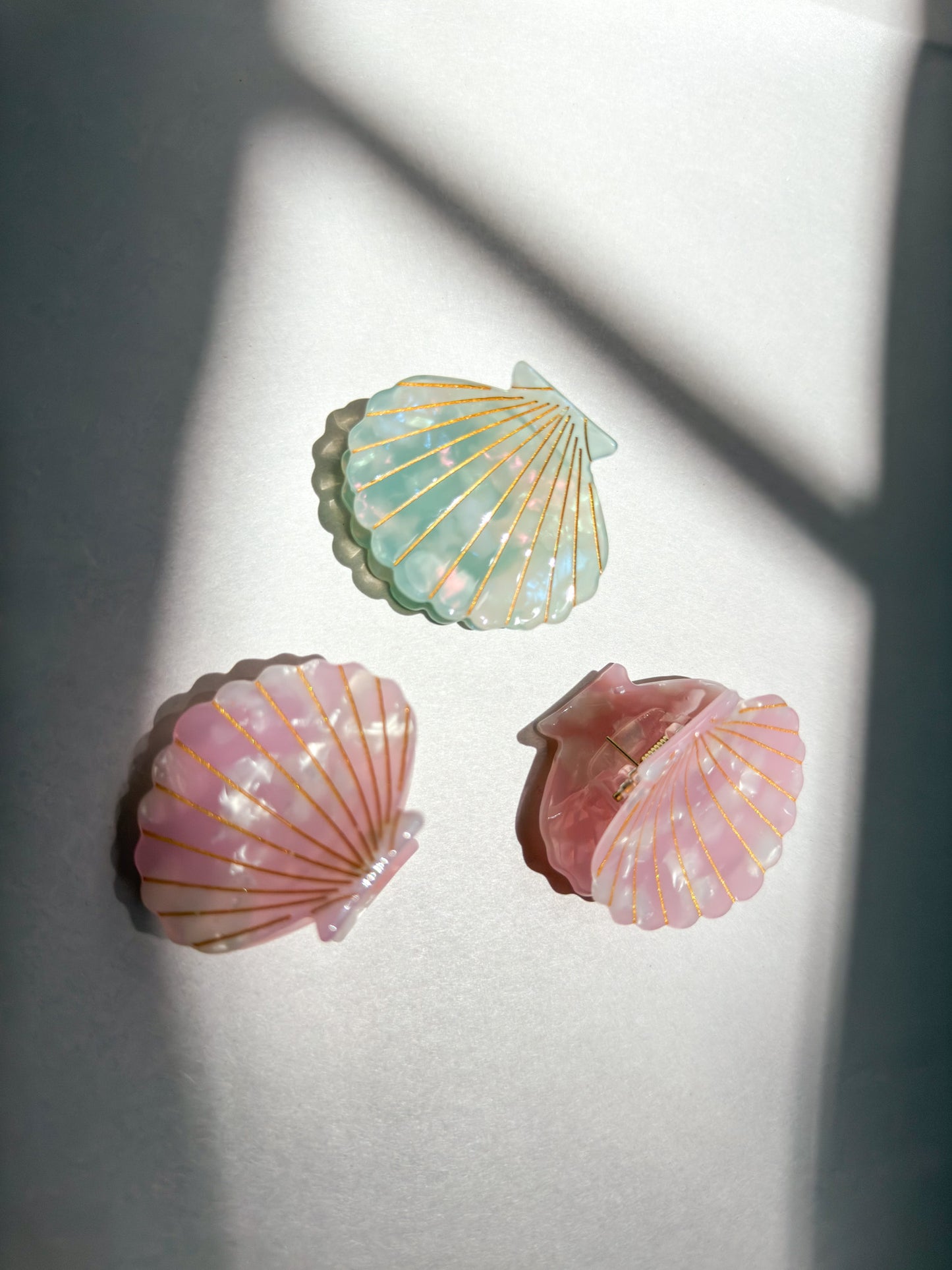 Seaside Shell Claw Clip Set