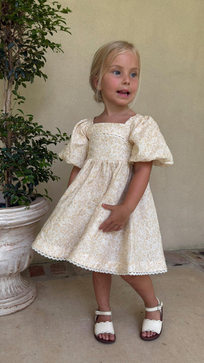 Preview Girls Louise French Linen & Lace Snap Dress | Champagne Garden
