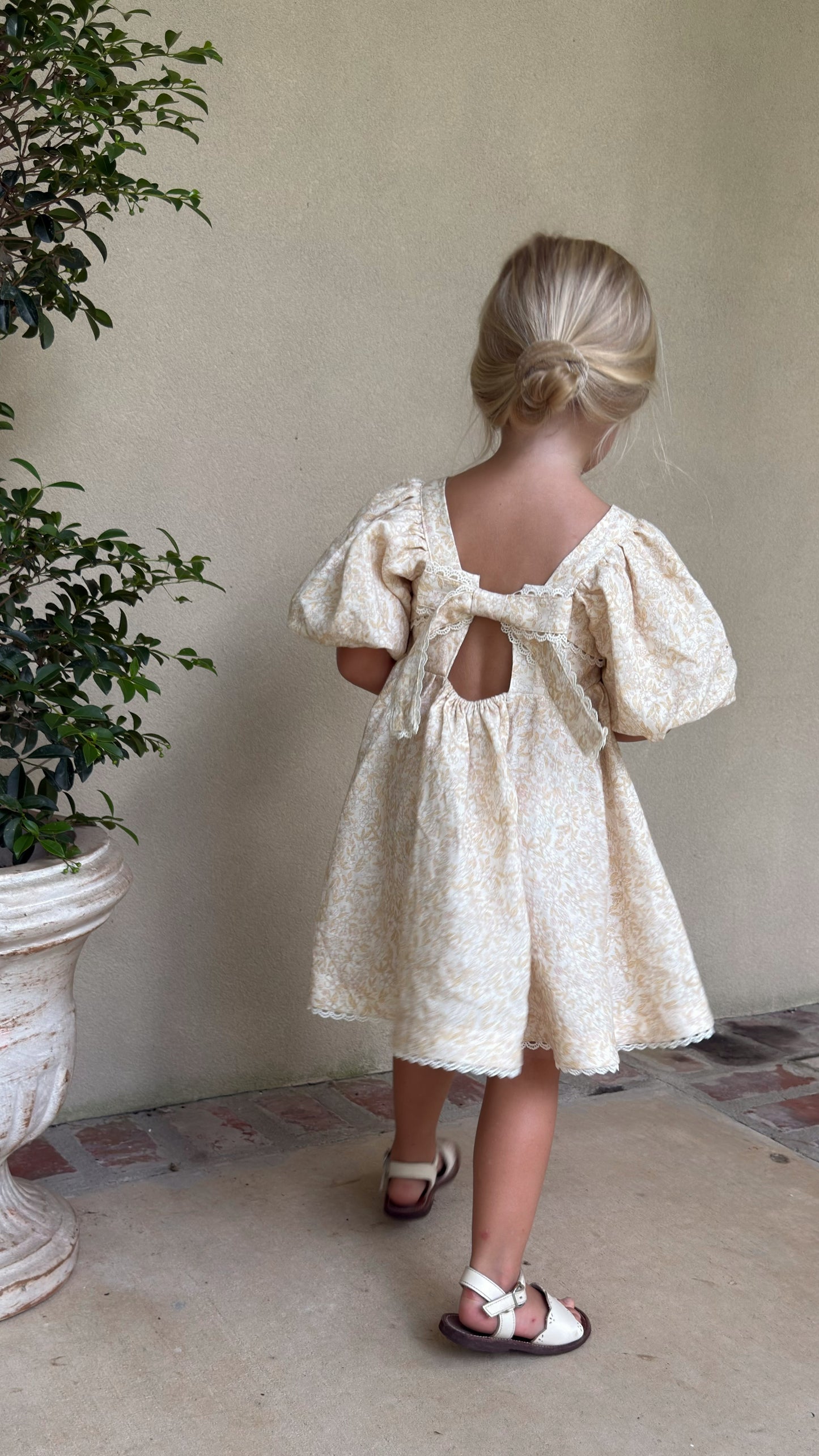 Preview Girls Louise French Linen & Lace Snap Dress | Champagne Garden